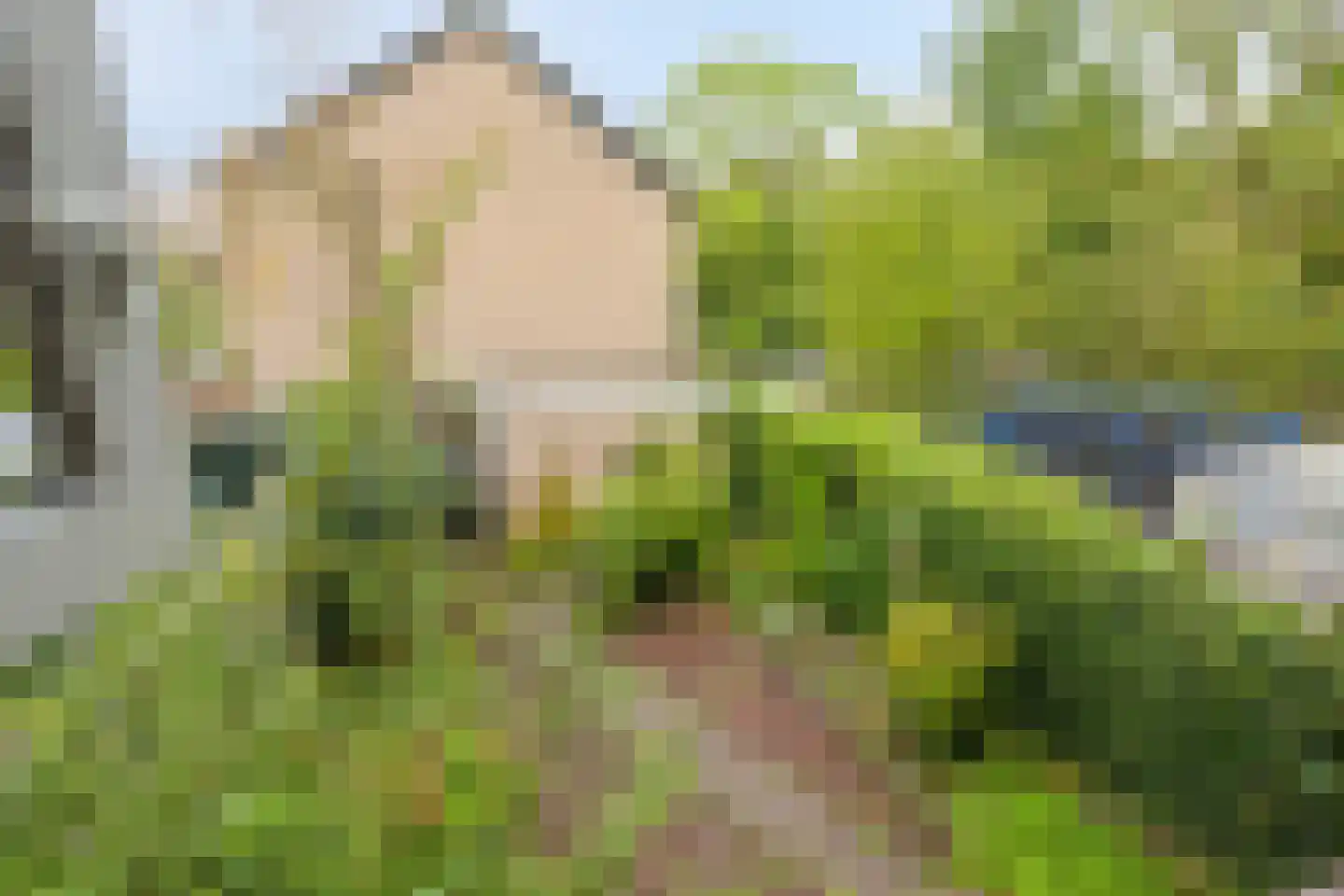 Assenstraat 4 Arnhem thumbnail 30