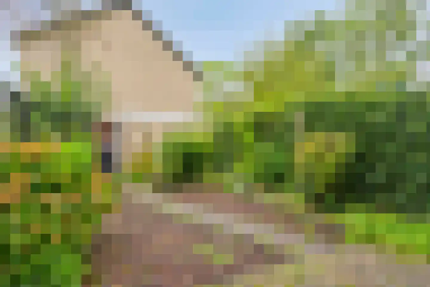 Assenstraat 4 Arnhem thumbnail 31