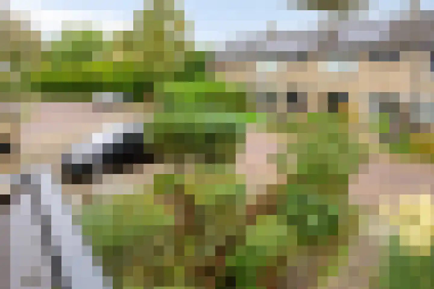 Assenstraat 4 Arnhem thumbnail 33
