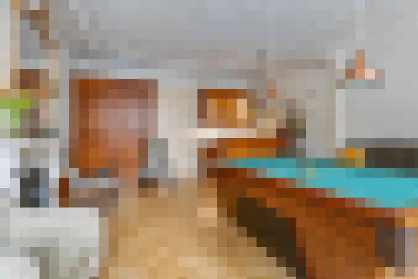 Assenstraat 57 Deventer thumbnail 4