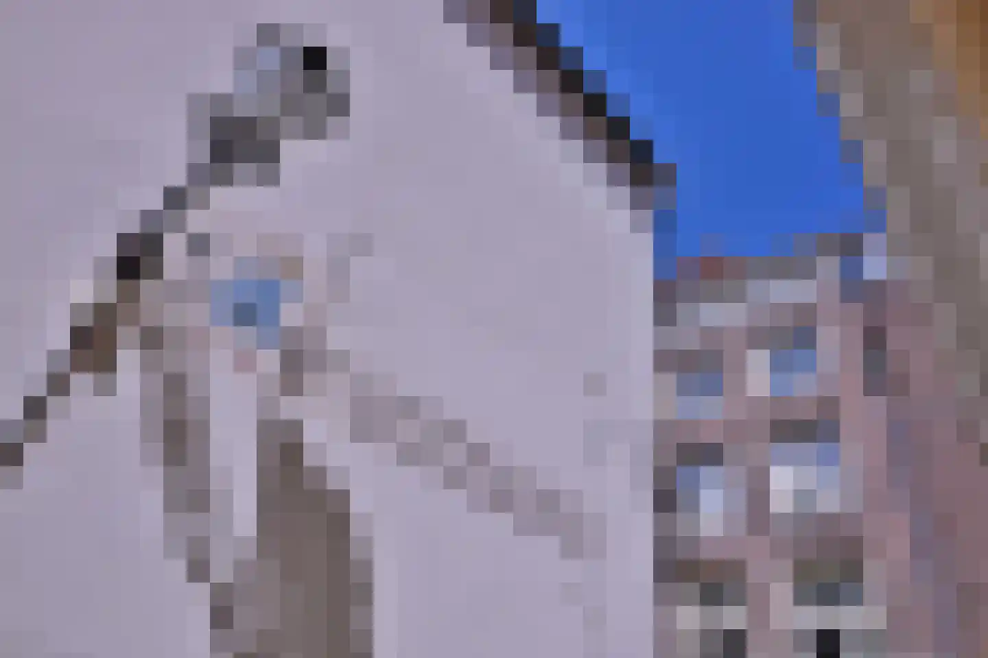 Assenstraat 57 Deventer thumbnail 69