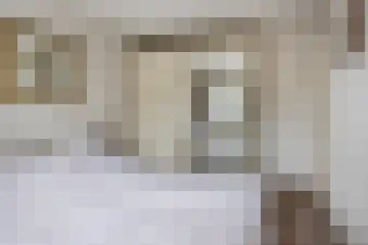 Assepoester 15 Eindhoven thumbnail 12