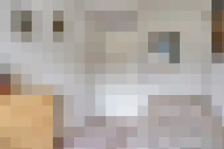 Assepoester 15 Eindhoven thumbnail 16