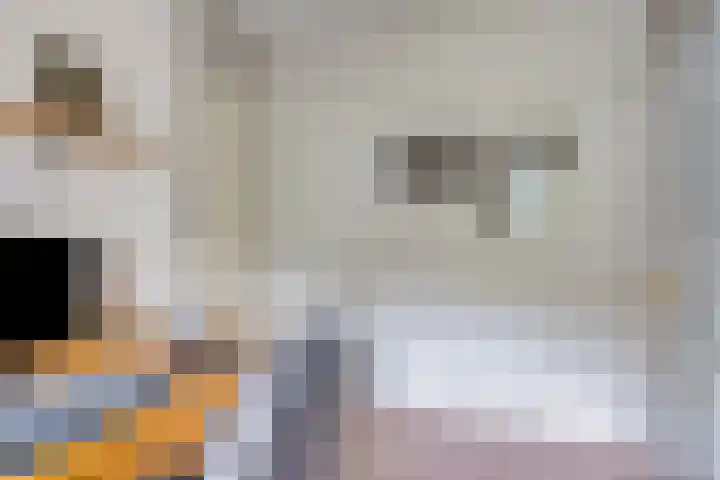 Assepoester 15 Eindhoven thumbnail 18