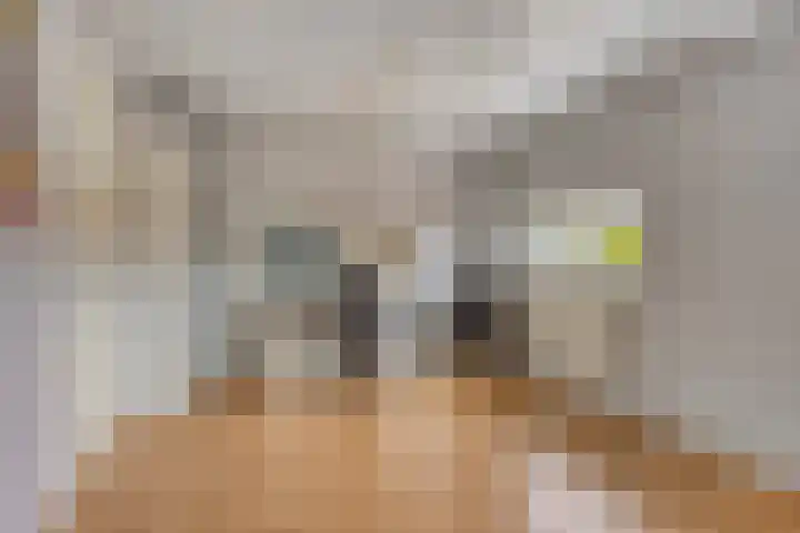 Assepoester 15 Eindhoven thumbnail 22