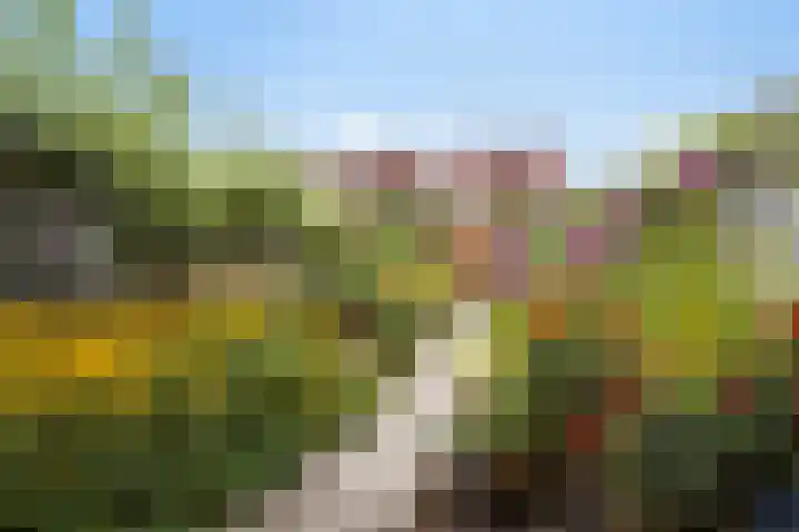 Assepoester 15 Eindhoven thumbnail 23