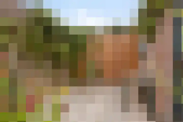 Assepoester 15 Eindhoven thumbnail 25