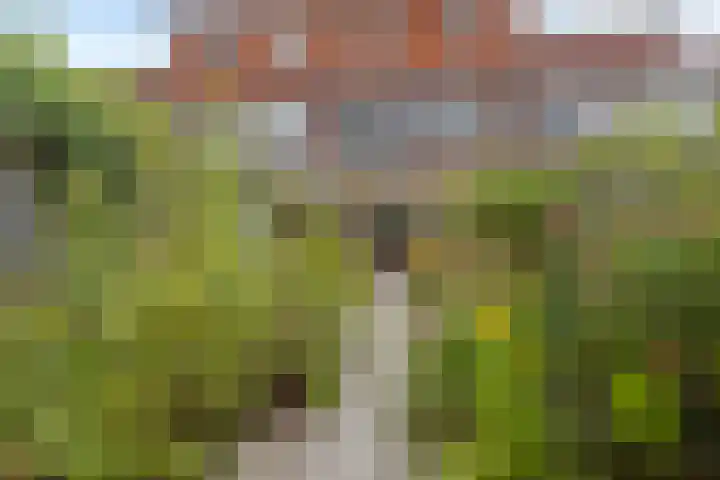 Assepoester 15 Eindhoven thumbnail 26