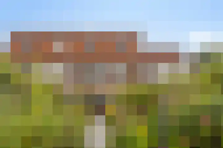 Assepoester 15 Eindhoven thumbnail 27
