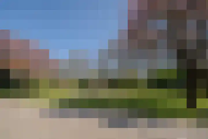 Assepoester 15 Eindhoven thumbnail 28