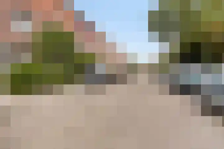 Assepoester 15 Eindhoven thumbnail 29