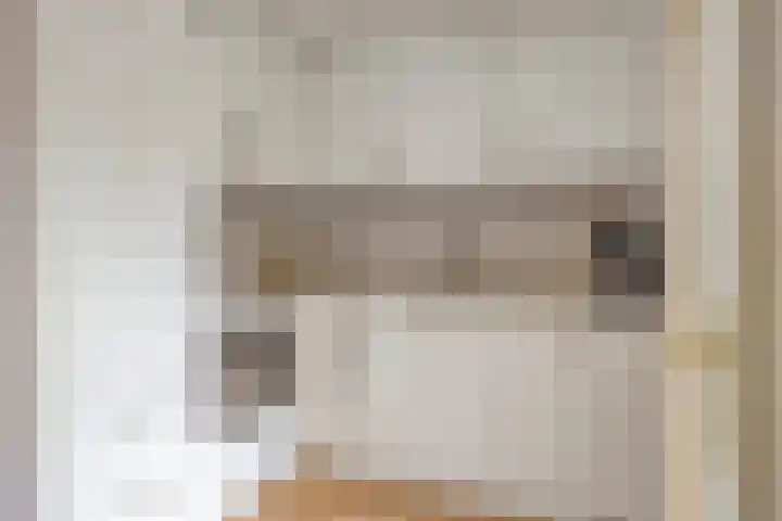 Assepoester 15 Eindhoven thumbnail 8