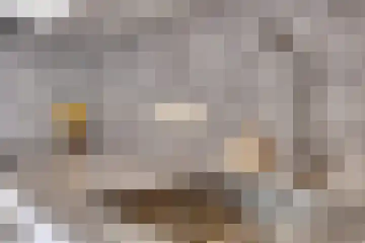 Assepoester 15 Eindhoven thumbnail 9