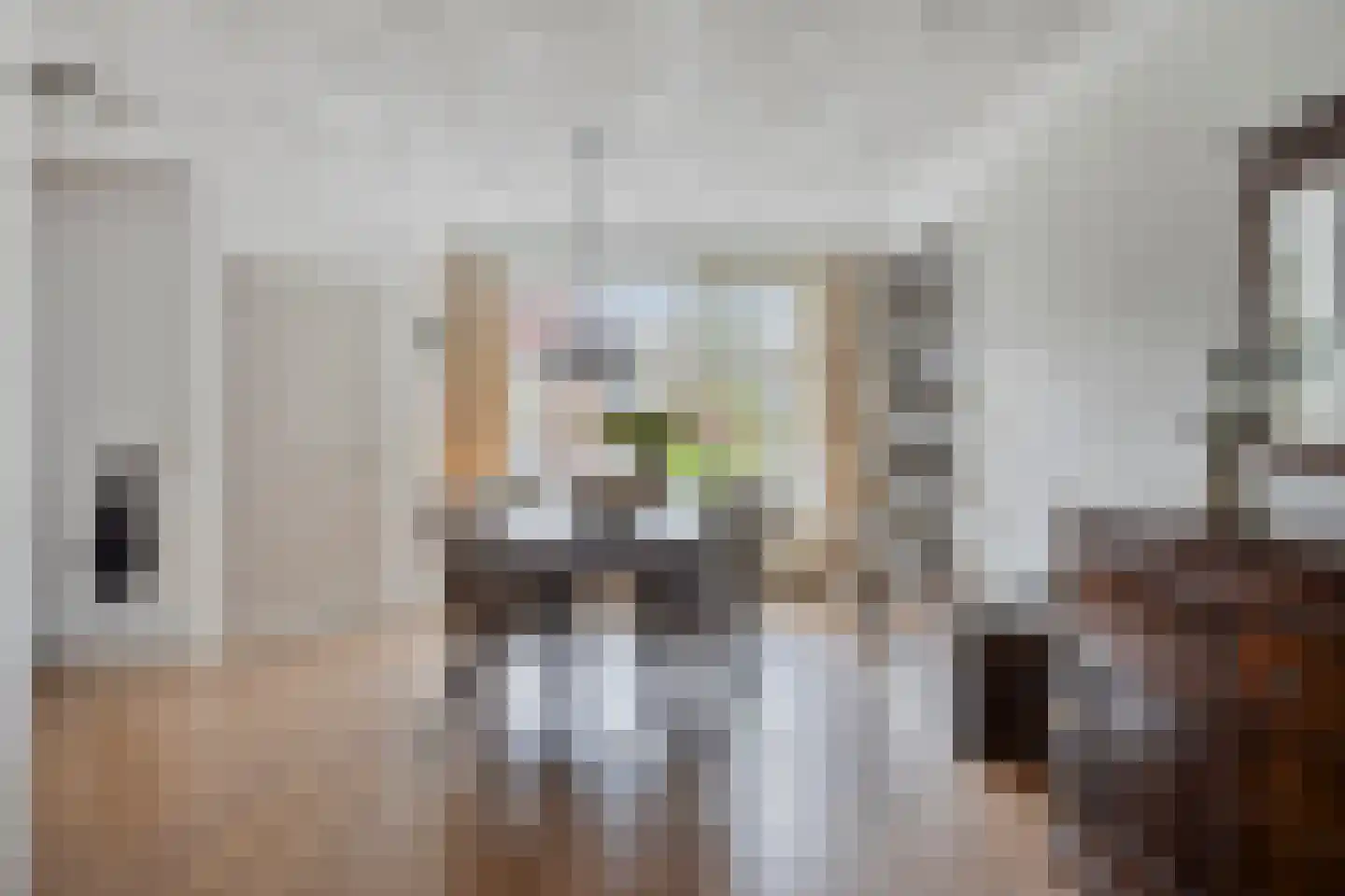 Assepoester 17 Eindhoven thumbnail 14