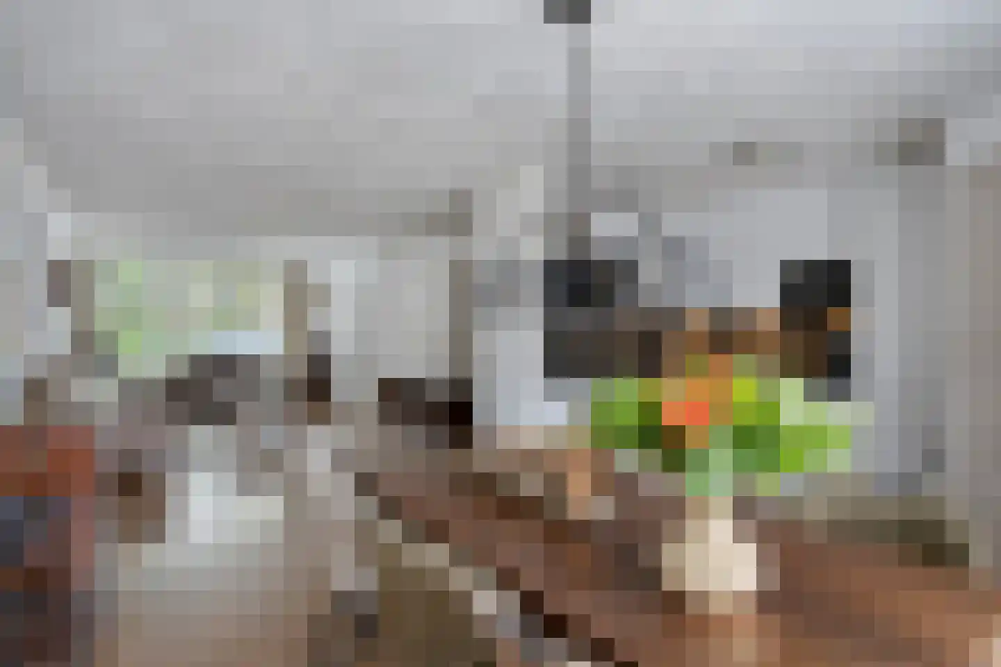 Assepoester 17 Eindhoven thumbnail 16