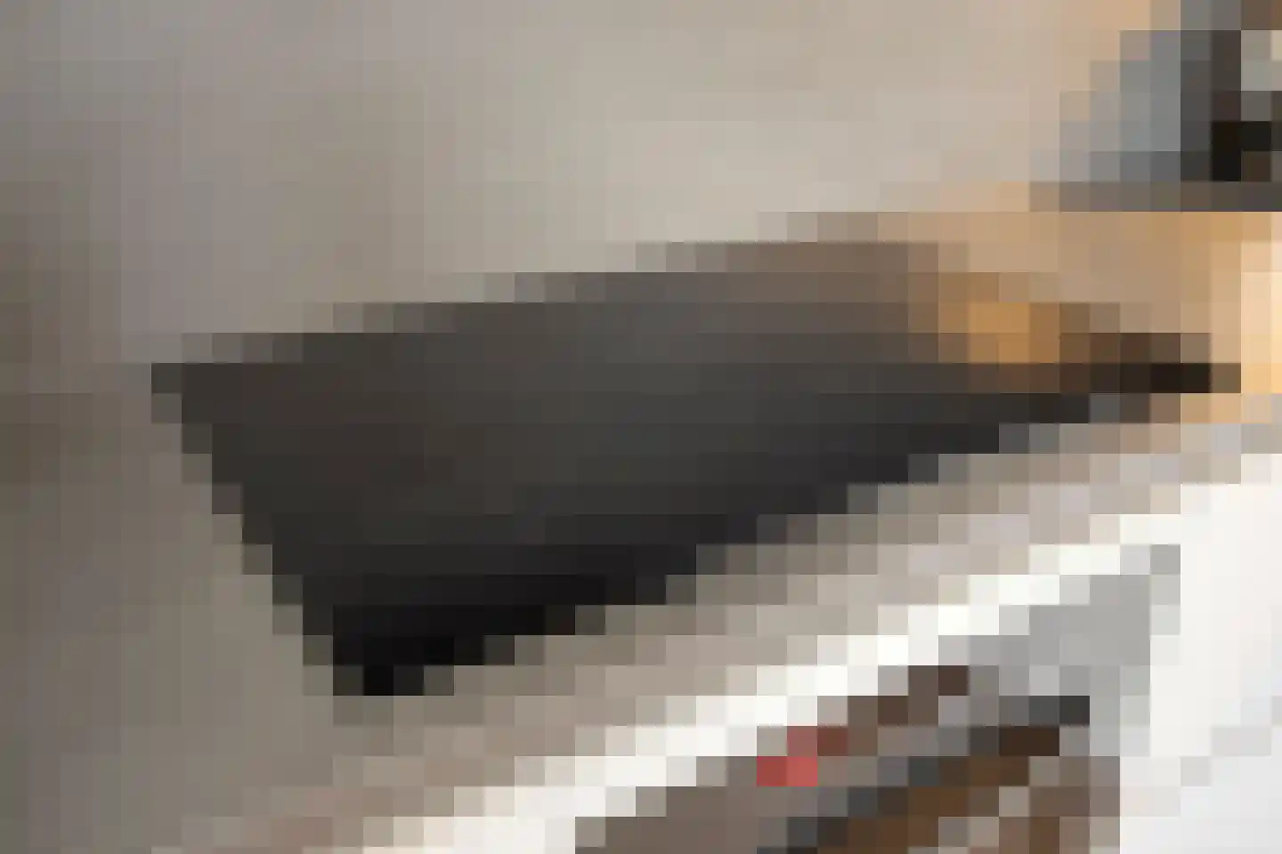 Assepoester 17 Eindhoven thumbnail 19