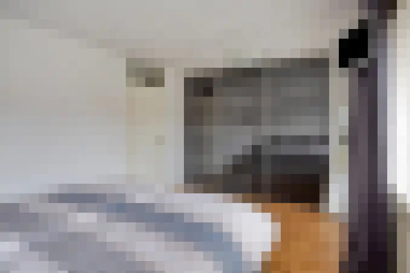 Assepoester 17 Eindhoven thumbnail 28