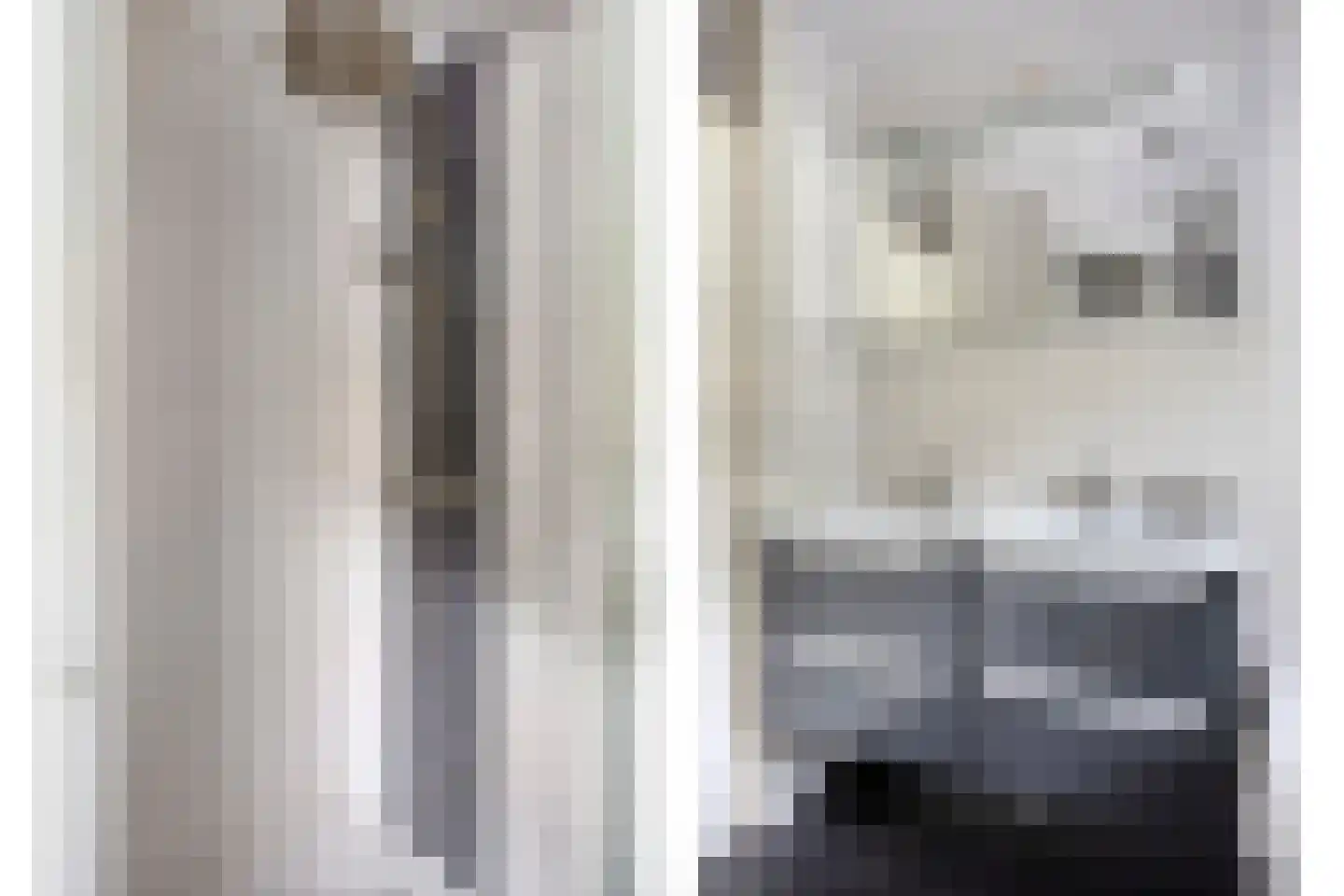 Assepoester 17 Eindhoven thumbnail 30