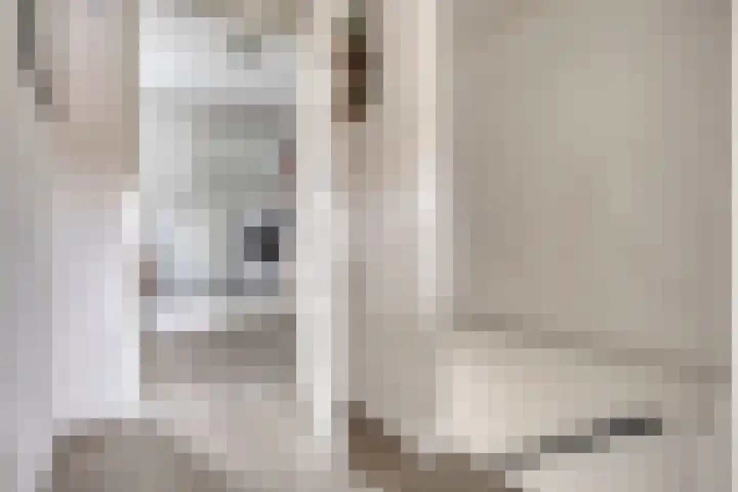 Assepoester 17 Eindhoven thumbnail 31