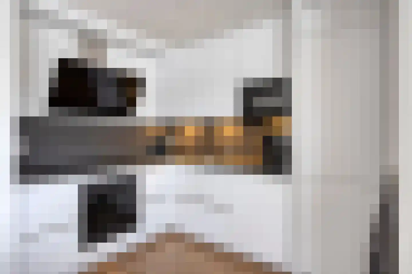 Assepoester 17 Eindhoven thumbnail 4