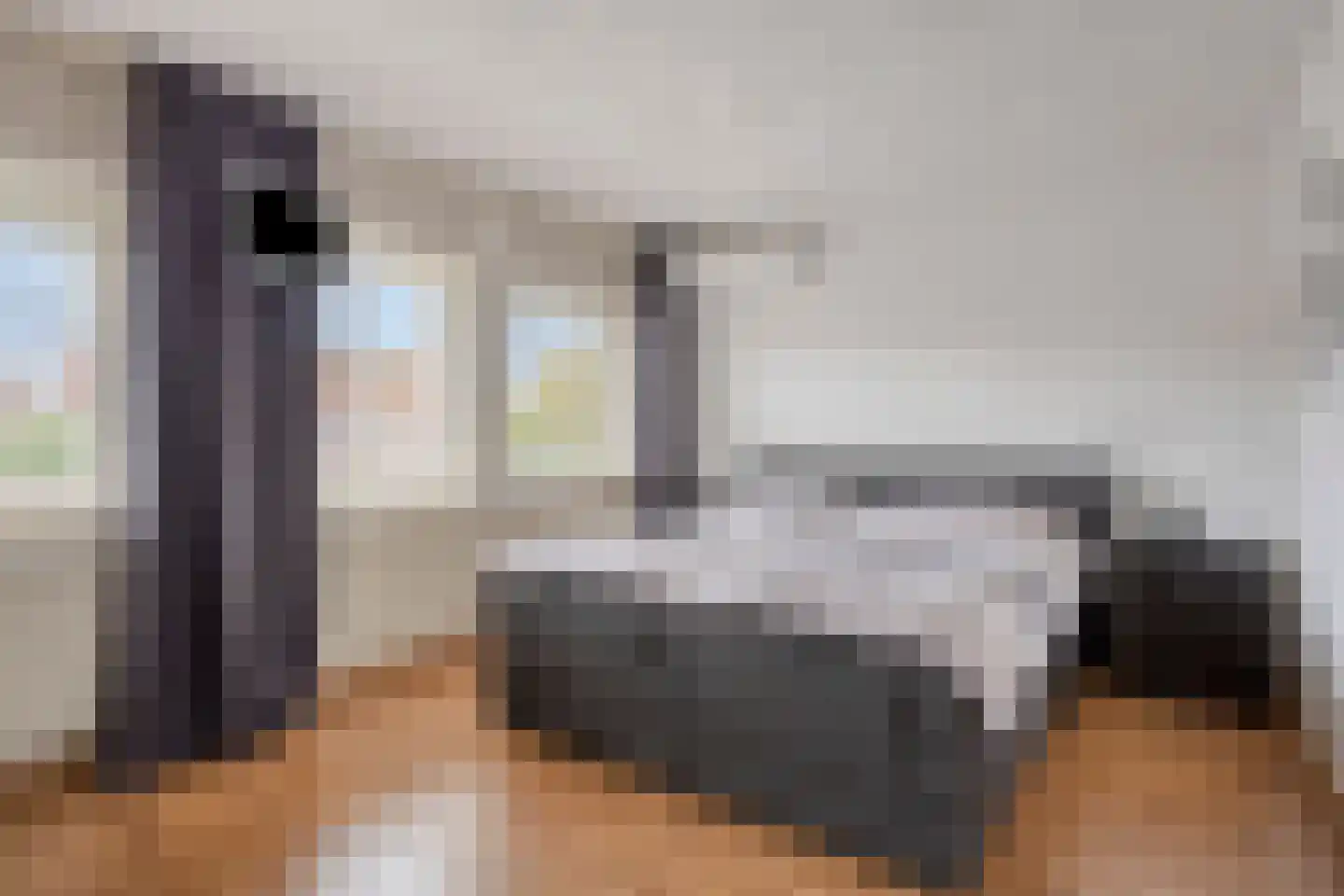 Assepoester 17 Eindhoven thumbnail 5