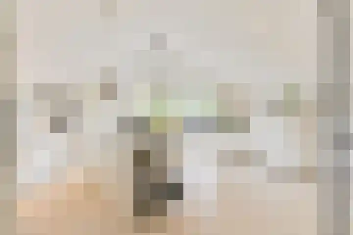 Asserbrink 2 Emmen thumbnail 33
