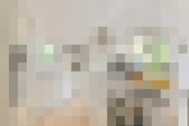 Asserbrink 2 Emmen thumbnail 34