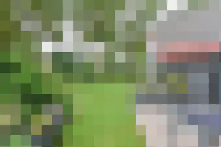 Asserbrink 2 Emmen thumbnail 65