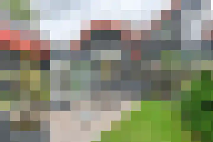 Asserbrink 2 Emmen thumbnail 68
