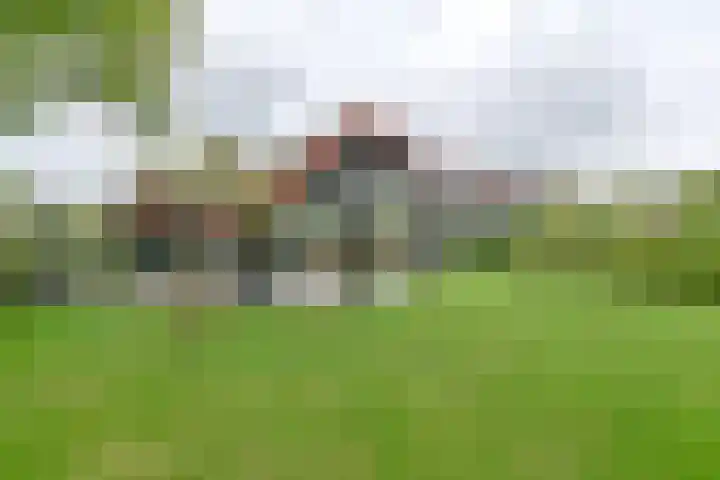 Asserbrink 2 Emmen thumbnail 70