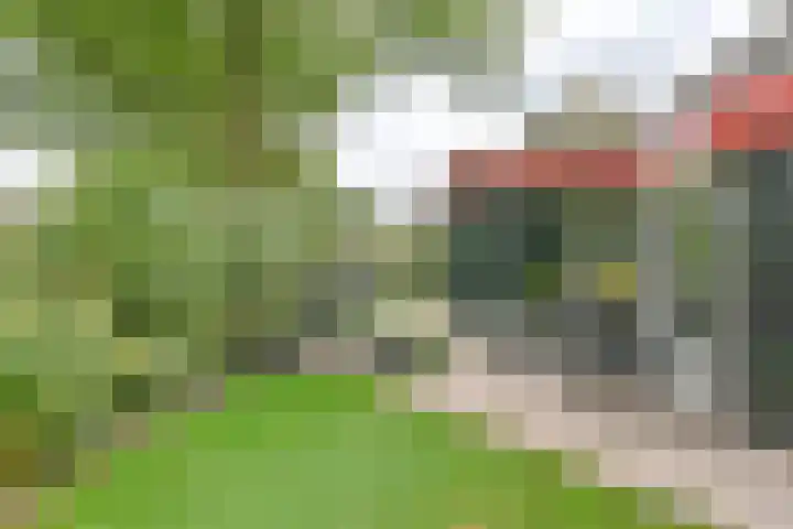 Asserbrink 2 Emmen thumbnail 71
