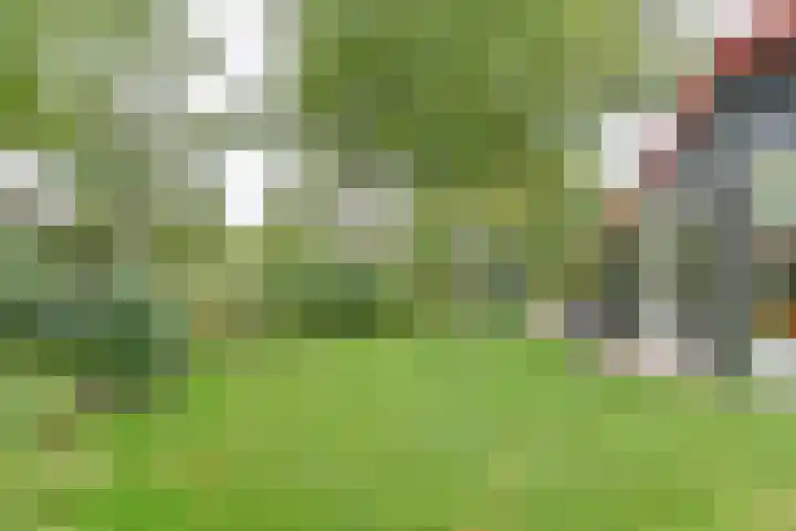 Asserbrink 2 Emmen thumbnail 76