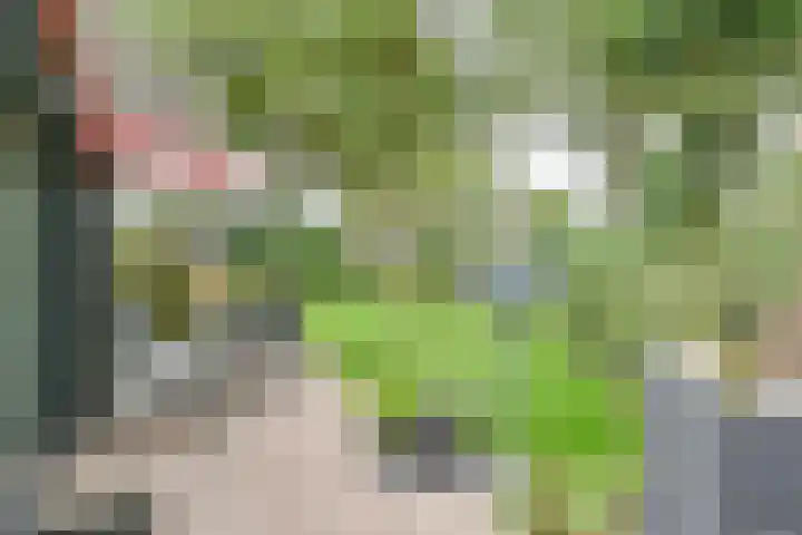 Asserbrink 2 Emmen thumbnail 78