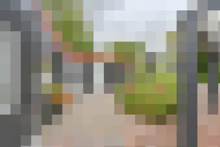 Asserbrink 2 Emmen thumbnail 86