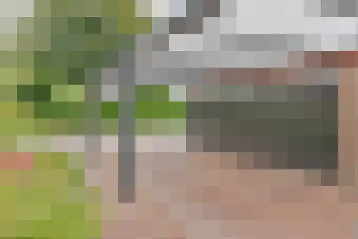 Asserbrink 2 Emmen thumbnail 87