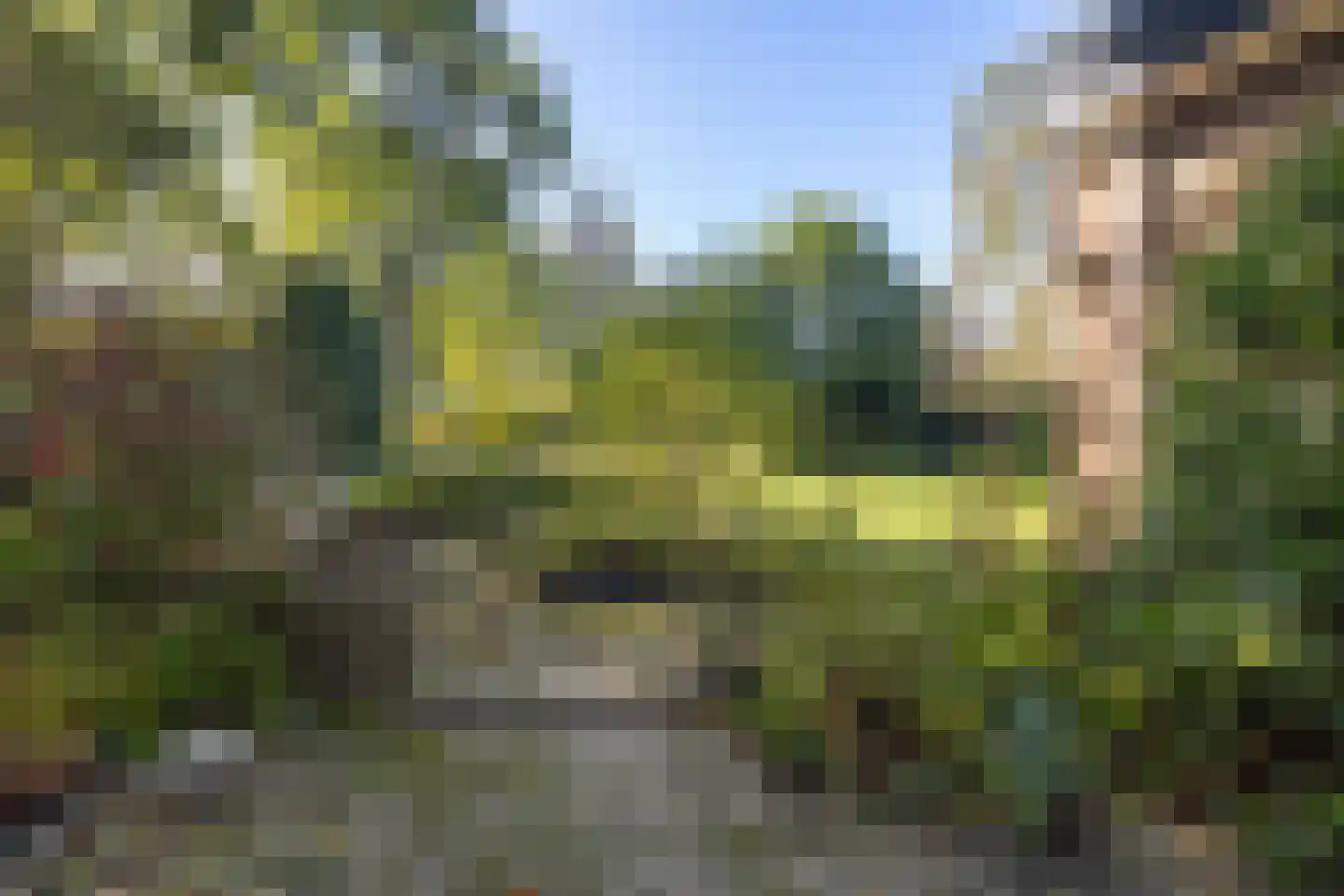 Asserbrink 82 Emmen thumbnail 34