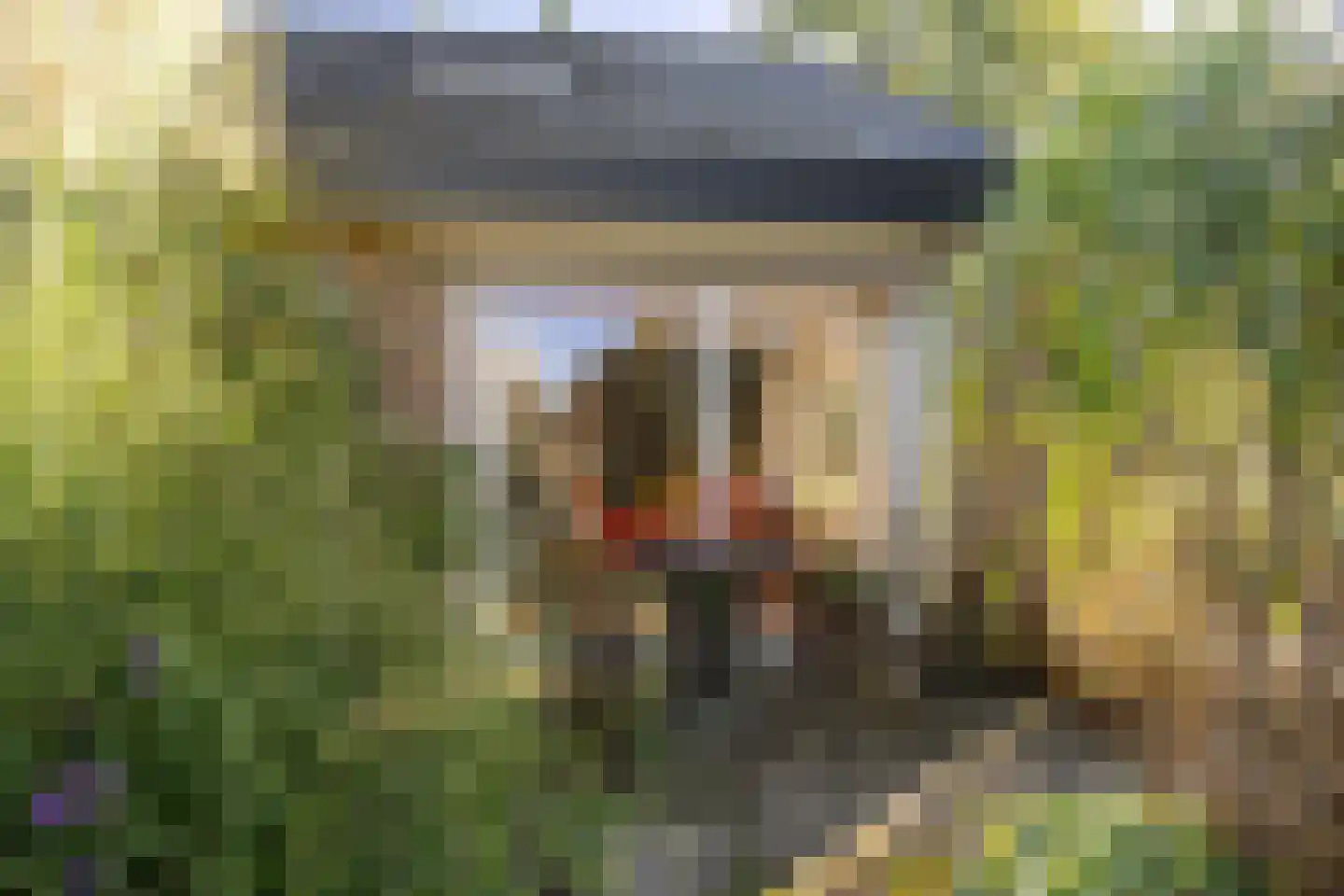 Asserbrink 82 Emmen thumbnail 37
