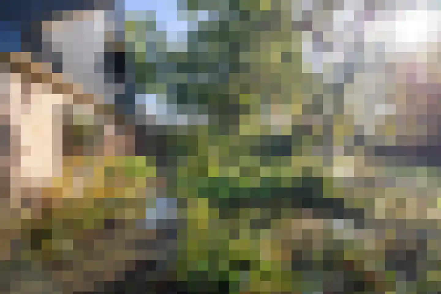 Asserbrink 82 Emmen thumbnail 38