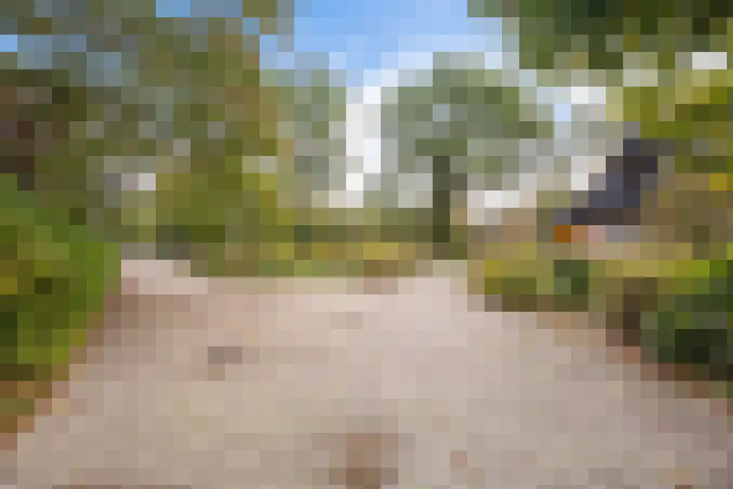 Asserbrink 82 Emmen thumbnail 45