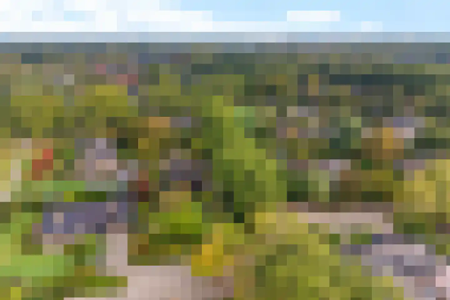Asserbrink 82 Emmen thumbnail 46