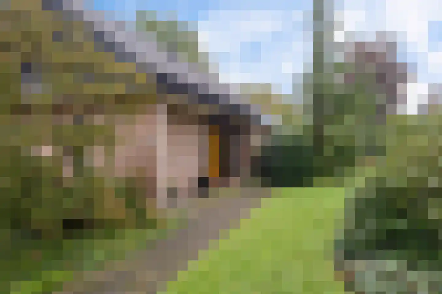 Asserbrink 82 Emmen thumbnail 6