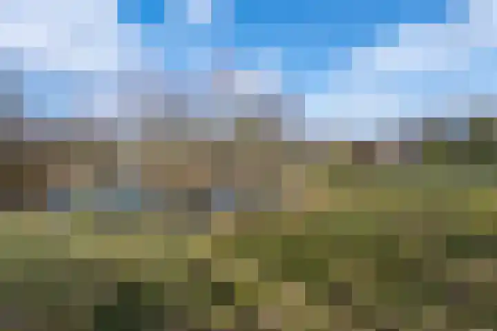 Asserbrink 86 Emmen thumbnail 4
