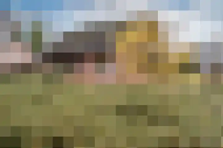 Asserbrink 86 Emmen thumbnail 41