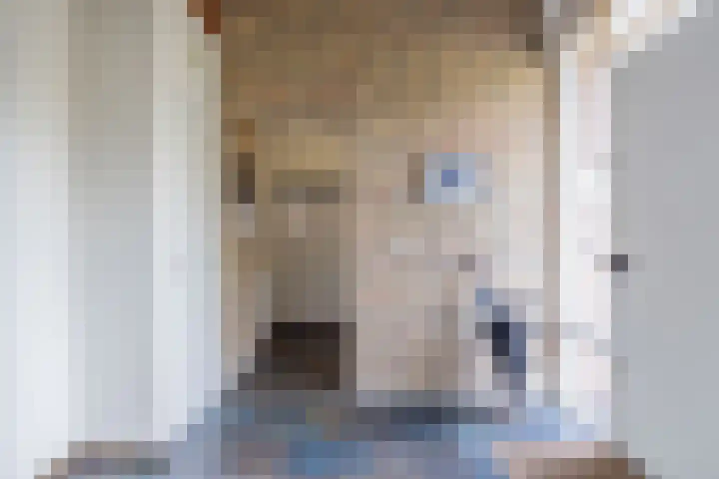 Asserbrink 9 Emmen thumbnail 13