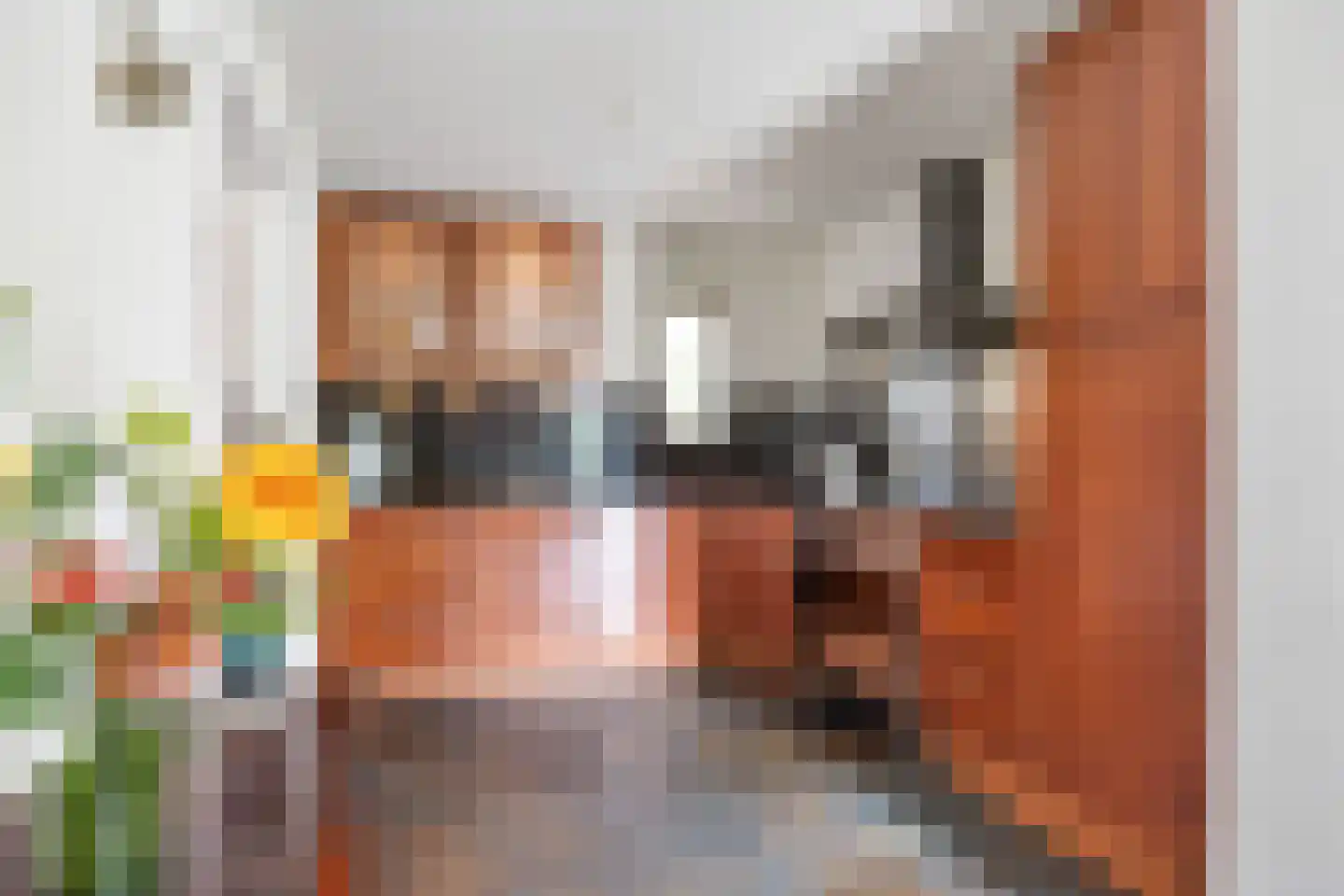 Asserbrink 9 Emmen thumbnail 22