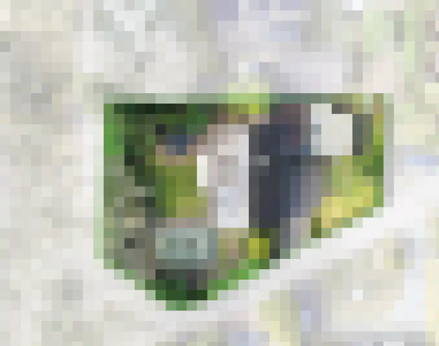 Asserbrink 9 Emmen thumbnail 4