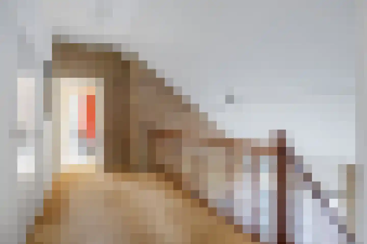 Asserbrink 9 Emmen thumbnail 41