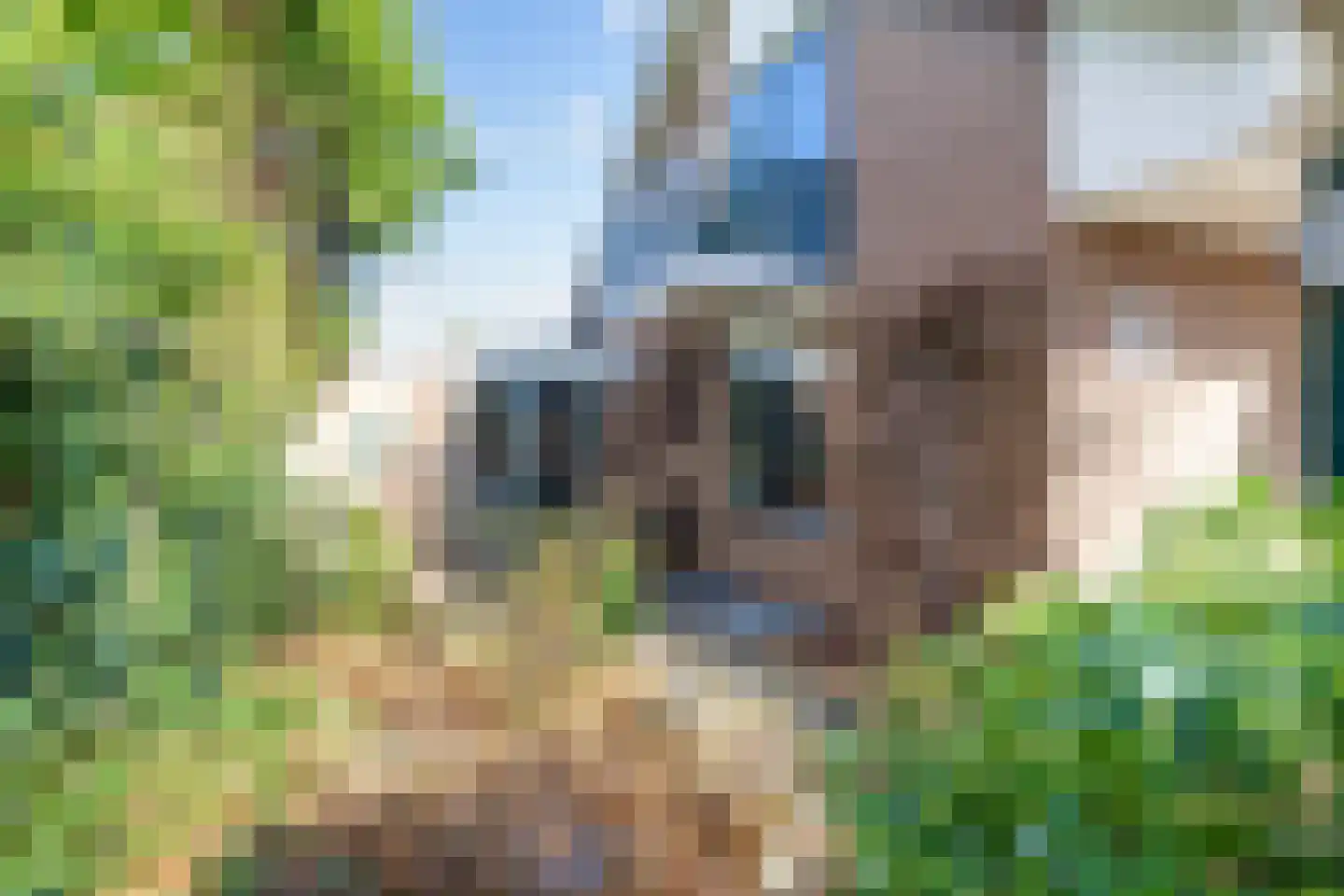 Asserbrink 9 Emmen thumbnail 60