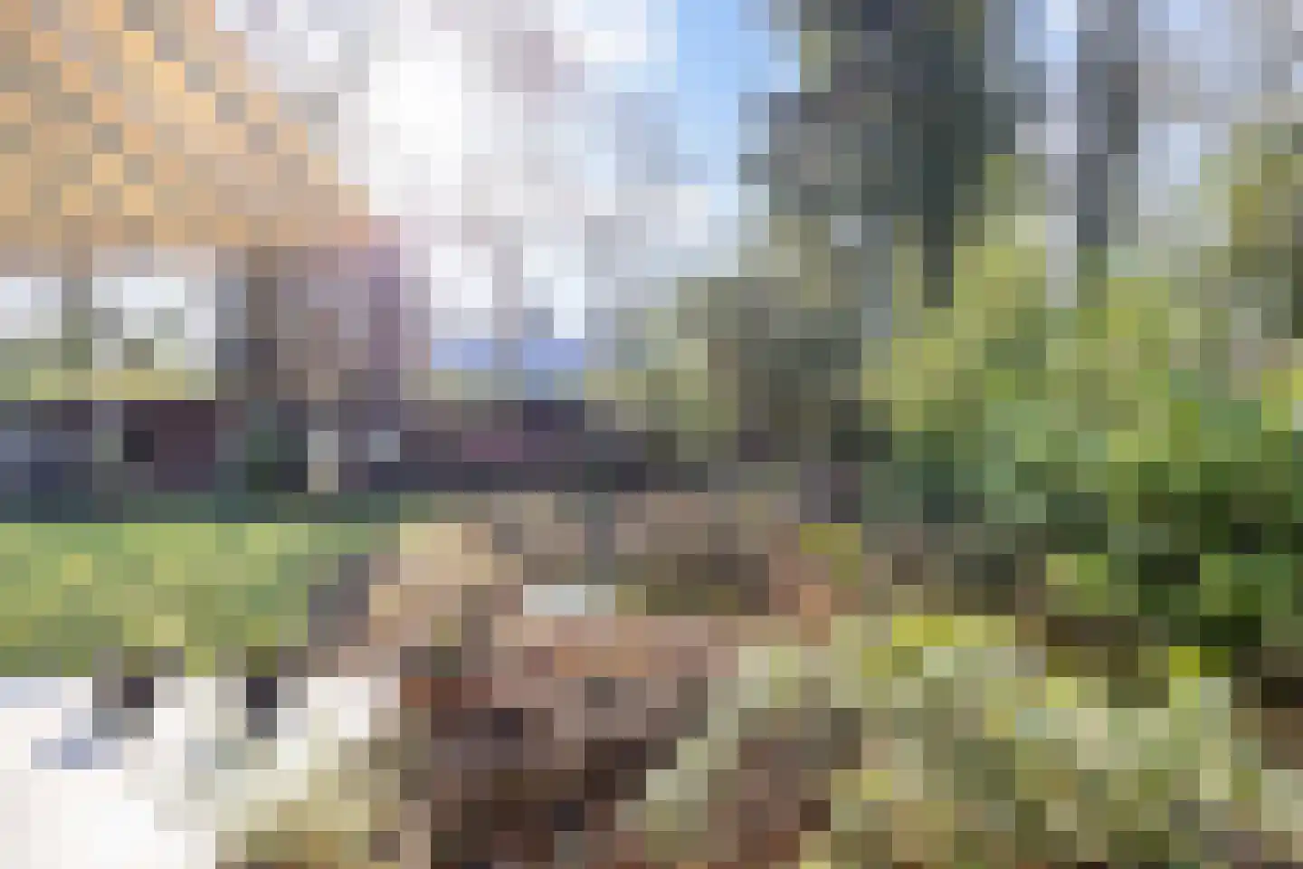 Asserbrink 9 Emmen thumbnail 62