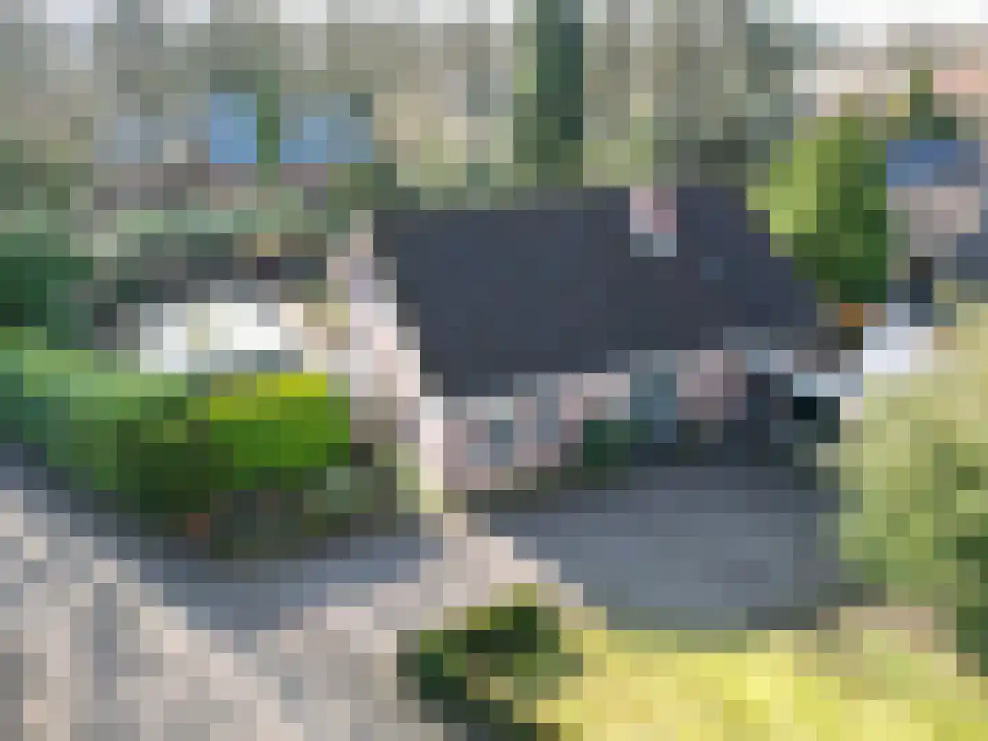 Asserbrink 9 Emmen thumbnail 73
